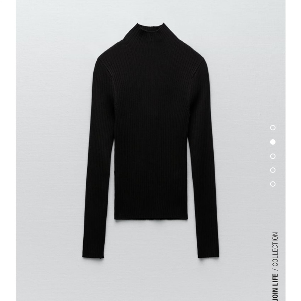 Zara Knit Ribbed Turtleneck - Picture 2 of 4